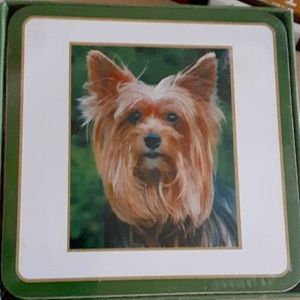 Yorkie Coasters